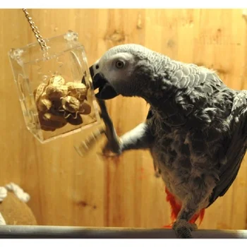 Papagáj Vták Hračky Zavesiť Zelené Krmivo Pet Liečbu Hunt Papagáj Cockatoo Budgie Potravín Feeder Vták Produkt Zábavné Duševného Hračky Pre Vtákov