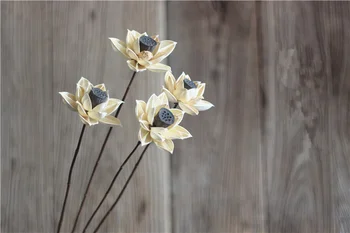 Prírodné sušené ovocie, škrupiny z multi-channel rastlinného materiálu Manglietia (Lotosový kvet) sušené kvety pôvodného kvet