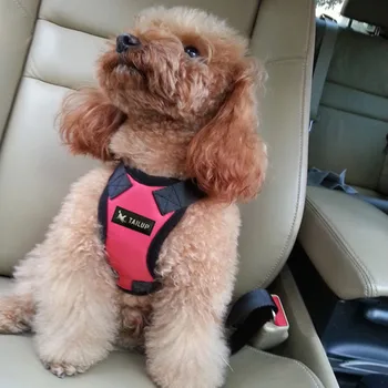 Psa Auto Postroj Vesta S Autom Seat Belt Remeň Bezpečnosti Pet Auto Viacúčelový Nylon Pet Auto Vozidla Bezpečnostné Popruhy, Nastaviteľný
