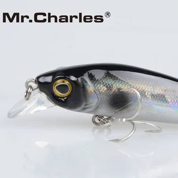 Pán Charles CMC022 Rybárske lure 65mm/7.5 g 0-0.8 m plávajúce super potopenie minnow Leurre Dur Peche Souple Veľké Morské Pevného Bionic Návnada