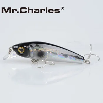 Pán Charles CMC022 Rybárske lure 65mm/7.5 g 0-0.8 m plávajúce super potopenie minnow Leurre Dur Peche Souple Veľké Morské Pevného Bionic Návnada