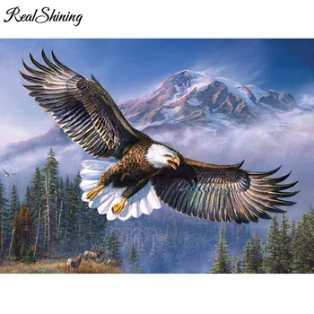REALSHINING 5D Plné Námestie 5D Diy Diamond Maľovanie na Oblohe Eagles Mozaikový Obraz Drahokamu Diamond Výšivky Domova FS212