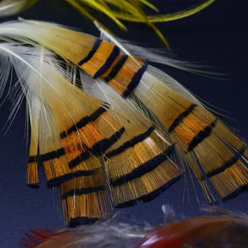 Royal Sissi hot 60pcs prírodné zlatý bažant hlavu erb &zvyškový telo perie najrôznejších krídla& chvost viazanie materiálov muškárenie