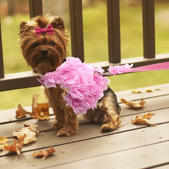 Ružová Priedušná Kvet Psa Na Postroj Malý Pes Pet Postroj Vodítku Nastaviť Šteňa Vesta Pre Chihuahua Teddy Psa Hrudníka Popruh Na Vodítku Nastaviť