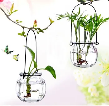Sklenené Vázy Domácnosti Dekor Micro-krajina Jardiniere Tvorivé Hydroponické Fľaša Office Dekorácie Skla Visí Jar Vázy
