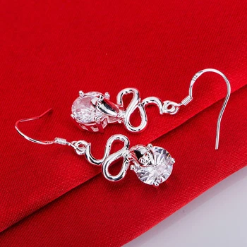 Strieborné pozlátené náušnice 925 šperky pre ženy strieborné náušnice WILSXYDI