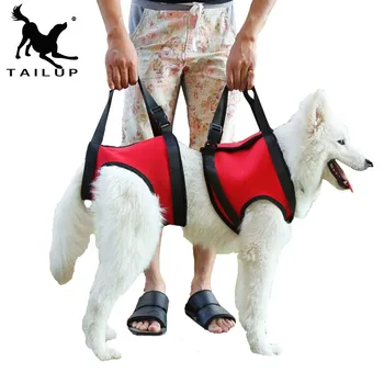 [TAILUP] Psa výťahov podporu vesta pet pomôcť produktov chien golier vodítku psa na postroj s rukoväťou zdvíhacie popruhy pre psov py0015