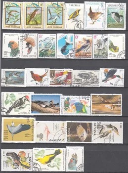Téma druhov Vtákov , 100 ks/lot No Opakovať , Všetky Z World Wide používali S Post Známky Vtákov Zbieranie Poštových Známok