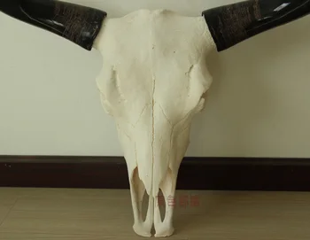 Vedúci Umenie, Remeslá Priameho predaja, prírodné remeselné Tibetskej jak krava lebky naozaj leštené horn lebky ornament