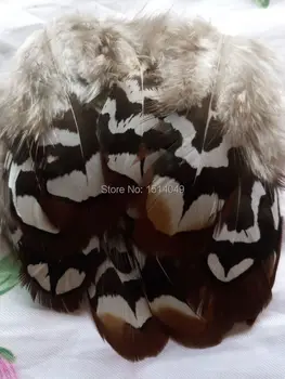 Veľkoobchod 20pcs kvalitných prírodných Wild bažant perie 5-10 cm / 2-4 cm rôzne dekoratívne urob si sám