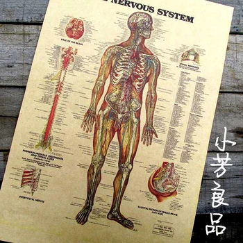 Vintage Papier Plagát - anglické Slovo Ľudský nervový Obrázok 42*30 cm Retro papierové dekorácie Osobné pohode plagát