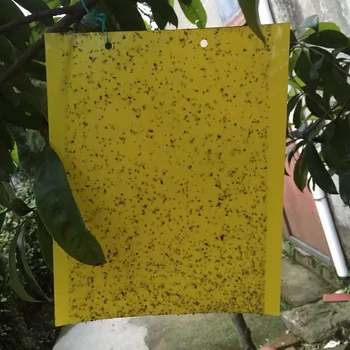 Vysoko efektívne flypaper lepkavý papier lietať mimo armyworm rada sticky lietať papier sticky Komár veľkoobchod plastových dosiek HH16084