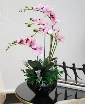 Vysoká umelý kvet phalaenopsis sa stanovuje celková kvetinový umelý kvet