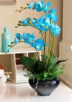 Vysoká umelý kvet phalaenopsis sa stanovuje celková kvetinový umelý kvet