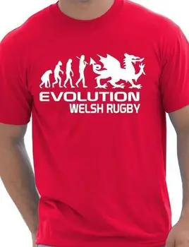 Vývoj Waleský Šport Pánske Tričko Darček Ďalšie Veľkosti a Farby