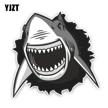 YJZT 14.3*14.2 CM, Krásne Veľký Biely Žralok Cartoon Farebné PVC Auto Nálepky Nárazníka Okno Grafické Dekorácie, C1-5329