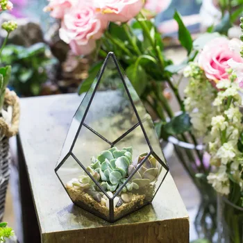 Štyri-povrchy Diamond Umelecké Succulents Papradie Moss Rastliny Sklenené Nádoby Bonsai kvetináče Číre Sklo Geometrické Terárium Box